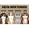  Tapete PERSONALIZADO  Bem vindo **ATÉ 7 GATOS**